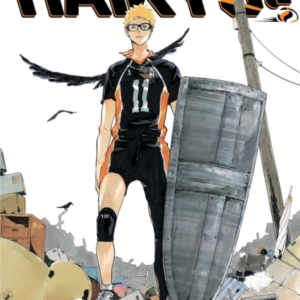 Haikyu!!, Vol. 19