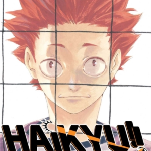 Haikyu!!, Vol. 20
