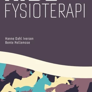 Ridefysioterapi