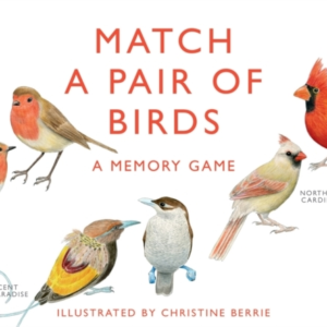 Match A Pair Of Birds