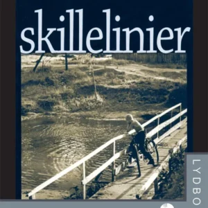 Skillelinier