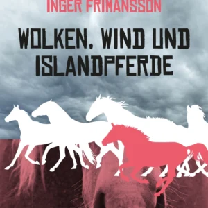 Wolken, Wind und Islandpferde
