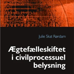 Ægtefælleskiftet i civilprocessuel belysning
