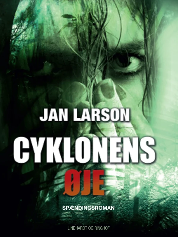 Cyklonens øje