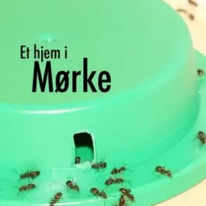 Et hjem i Mørke