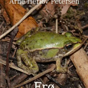 Frø