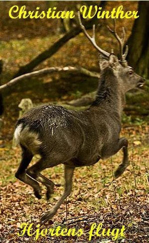 Hjortens Flugt