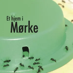 Et hjem i Mørke
