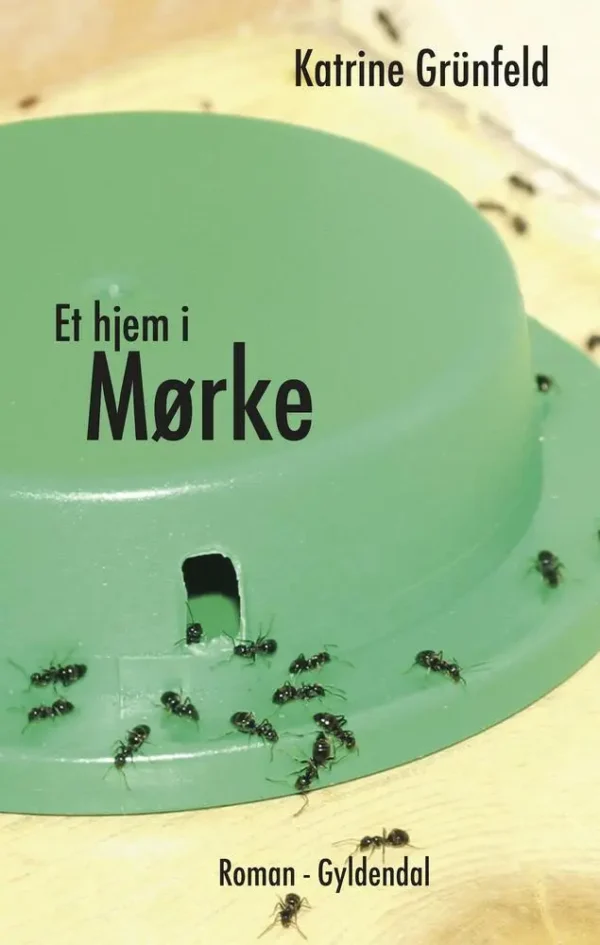 Et hjem i Mørke