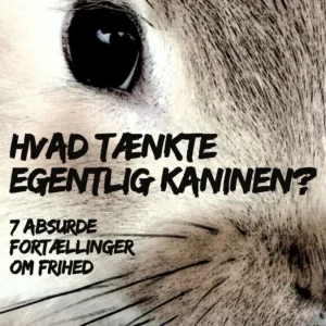 Hvad tænkte egentlig kaninen?