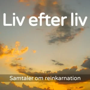 Liv efter liv