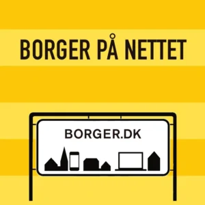 Borger på nettet
