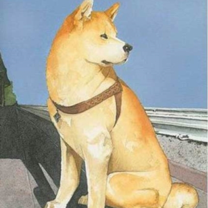 Hachiko Waits