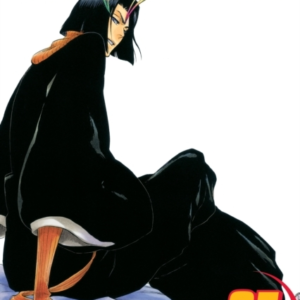 Bleach, Vol. 37