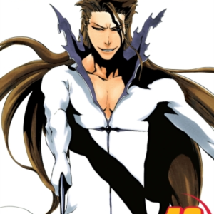 Bleach, Vol. 48