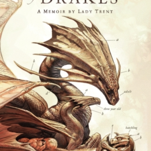 In the Labyrinth of Drakes