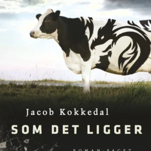 Som det ligger