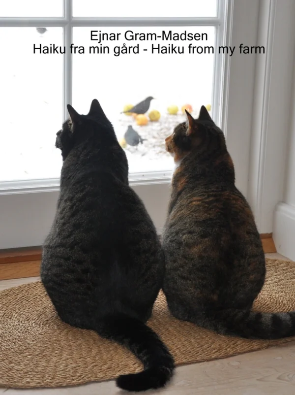 Haiku fra min gård