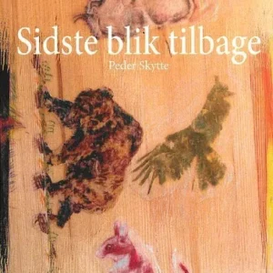 Sidste blik tilbage