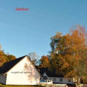 Sølvkær