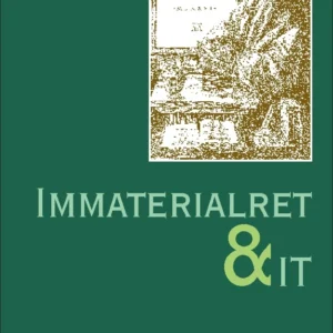Immaterialret og IT