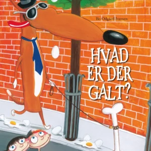 Hvad er der galt?