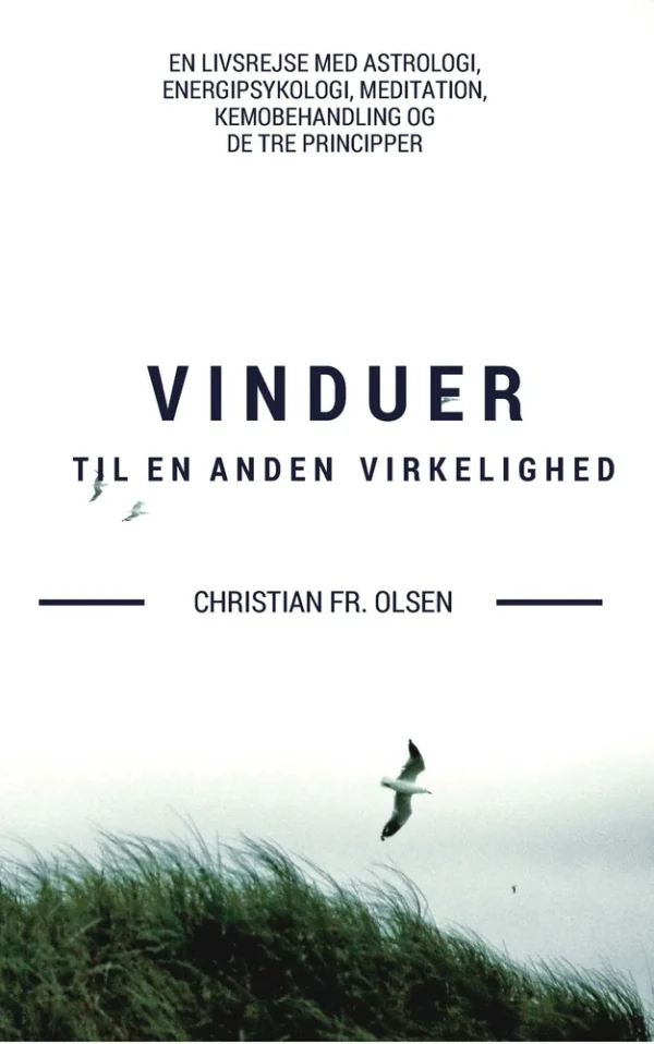 Vinduer til en anden virkelighed