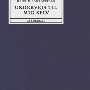 Undervejs til mig selv
