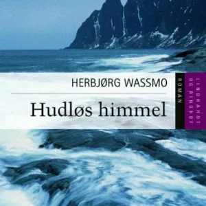 Hudløs himmel