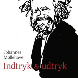 Indtryk og udtryk