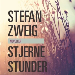 Stjernestunder