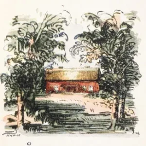 Mårbacka