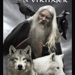 Nordiske guder og vikinger