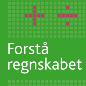 Forstå regnskabet