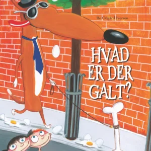 Hvad er der galt?