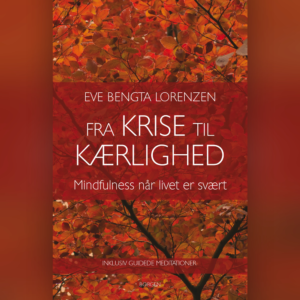 Fra krise til kærlighed