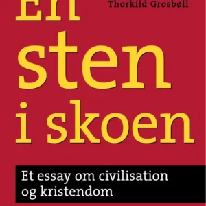 En sten i skoen