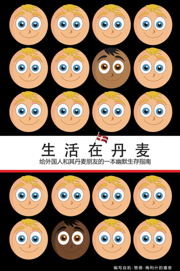 How to Live in Denmark (Chinese Edition)