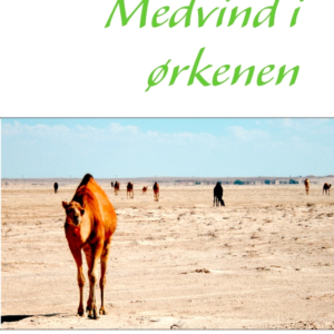 Medvind i ørkenen - beretninger fra Qatar