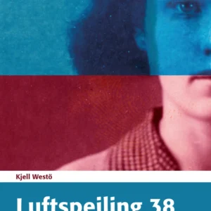 Luftspejling 38