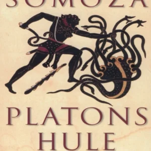 Platons hule