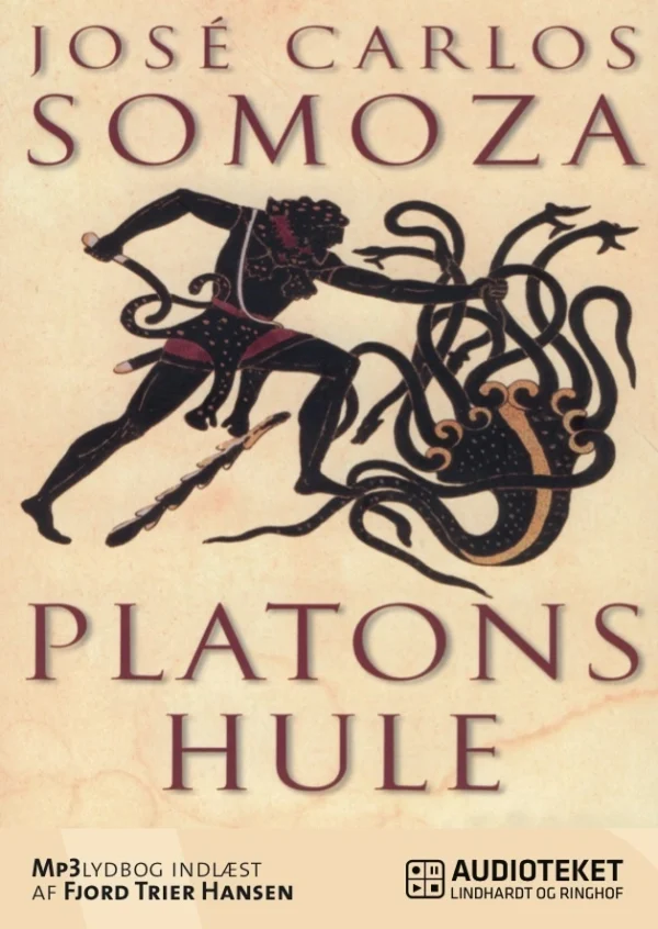 Platons hule