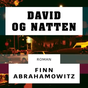 David og natten