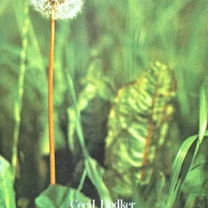 Luseblomster