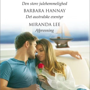 Den store julehemmelighed