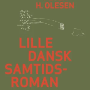 Lille dansk samtidsroman
