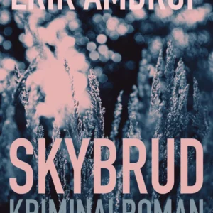 Skybrud
