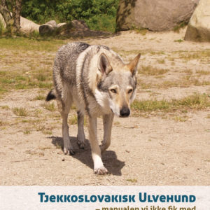 Tjekkoslovakisk ulvehund