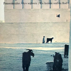 Rejsedagbøger