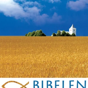 Bibelen på Hverdagsdansk - eBog Edition